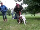 Luger-woof woof