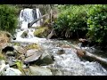 The End Of Suffering - Thich Phap Niem (Tang Than Lang Mai)