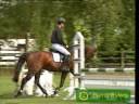 Horses - Jump on the Fizzy.wmv