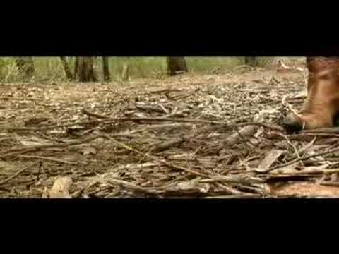 KARL BROADIE - Count Your Blessings
