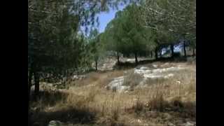 برنامج عن بلدي حكيلي - قرية دير طريف المهجرة برنامج عن بلدي حكيلي - قرية دير طريف المهجرة