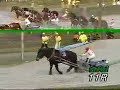 Banei horse racing Banei horse racing