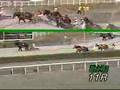 Banei horse racing