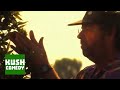 TOTALLY BAKED CLIP - WEED FARMER