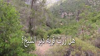 تعرف على قرية دير الشيخ