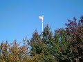 Amityville Kiwanis Club 