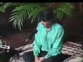 Great maestro Shajarian, Tasnif: Raz e Del