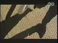 The-Primitives-Secre