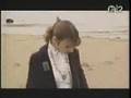 The Primitives Secrets