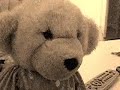 Evil Teddy