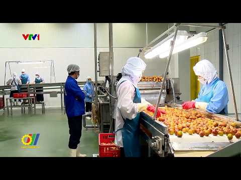 Xuất khẩu nông, lâm, thủy sản của Việt Nam quý I-2026 đạt 16,7 tỷ USD