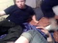the bearder video