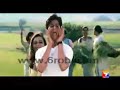 shahrukh khan
