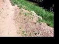 Bike Ride down the Greeley ditch Bike Ride down the Greeley ditch