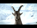 TV-Spot \"Romanisch\" von \"graubünden\" TV-Spot \"Romanisch\" von \"graubünden\"