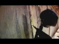 Mike's a 6'5 Tactical Woodsball Barrel Tagging Paintball Stealth Ninja of DEATH