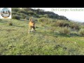 Resumen temporada 2012-2013