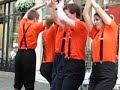 Clownfish at York