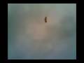 video correspondiente a la canción adelir de carli, de mauricio gaete,del disco wuacho,dedicada al padre del mismo nombre, quien todavía se eleva por los cielos...