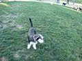 Cutie Video 01