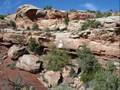 Sacred Earth