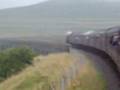 The Dalesman over RibbleHead Viaduct 31/8/08