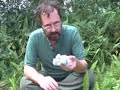 EatTheWeeds: Episode 01: Why Learn About Wild Foods EatTheWeeds: Episode 01: Why Learn About Wild Foods