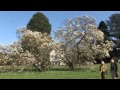 Weinheim - Zweiburgenstadt zeigt Imagefilm ihrer Schönheiten - weltweit Weinheim - Zweiburgenstadt zeigt Imagefilm ihrer Schönheiten - weltweit