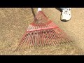 Fall lawn care tips from the U of M Fall lawn care tips from the U of M