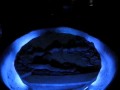 colombia - Farm, Salt Cathedral, Gold Museum