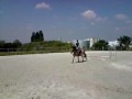 videos de ZIG ZAG LEA