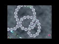 Fraxy - PYTHO