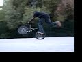 flatland summer 06