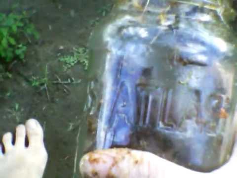 how to dissolve tree sap
