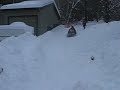 Sledding2