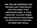 DON'T BREED OR BUY WHILE SHELTER DOGS DIE 2012.wmv