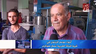 اجواء موسم الزيتون في قرية النزلة الغربية شمال طولكرم اجواء موسم الزيتون في قرية النزلة الغربية شمال طولكرم