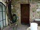 Stewart Home - WWOOF 3 Stewart Home - WWOOF 3