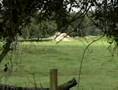 Engineers To Detonate More Munitions Found Near School