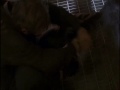 24 season 1