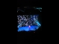 nicole vasey dundee's got talent