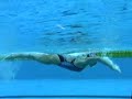 Butterfly Weight Transfer