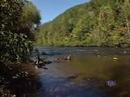 Tennessee Tech & Cumberlands Habitat Conservation Plans