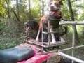 Hawg Hunting in Arkansas 2