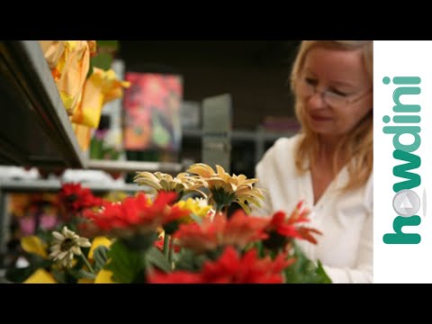 How to Start a Business - Starting a Business