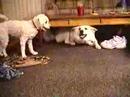 Playin hard !  pt.3
