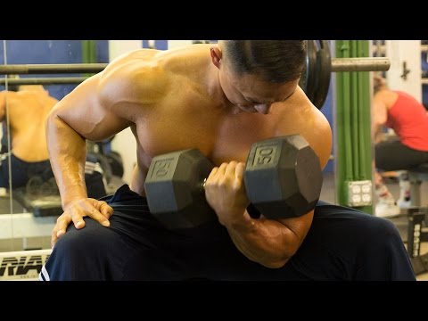how to train arm muscles
