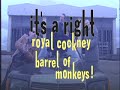 Thumbnail #3