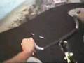 Extreme! Dare Devil Bike surfing