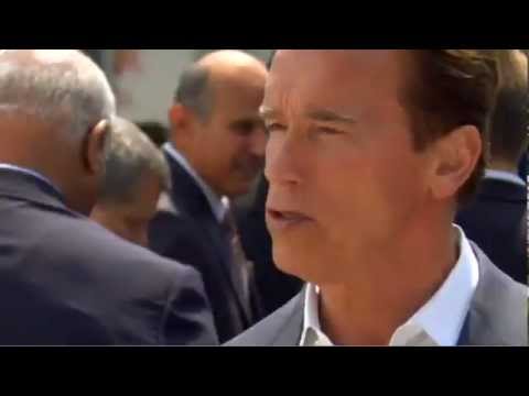 how to organize volunteers